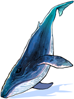 Blue Whale