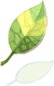 Costume Smokie Leaf
