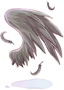 Crow Wing