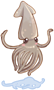 Squid