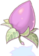 [Gift] Mastela Fruit