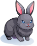 Costume Black Rabbit