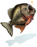 Piranha