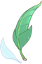 Aloe Leaflet