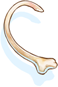 Rib Of Jormungand