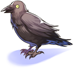 Costume Crow on Shoulder