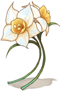 Jasmine