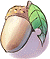 Unripe Acorn