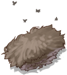 Antelope Skin