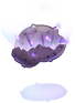 Etel Carnium