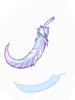 Feather of Birds