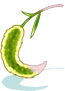Long Foxtail Staff