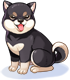 Costume Black Shiba Inu