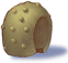 Round Shell