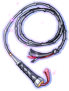 Poenitentia Flagellum