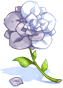 Half Flower