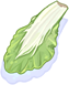 Bok Choy