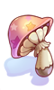 Star Shape Mushroom