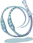 Sea Witch's Foot