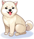 Costume Kishu Dog