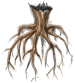 Decaying Stem