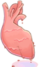 Heart of Queen Fox