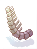 Tikbalang's Thick Spine