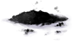 Black Powder