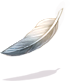 Large White Feather