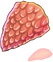 Snake Scale