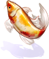 Carp