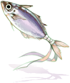Special Horse Mackerel Amulet