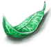 Collected Medicinal Herbs