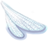 Wing of Dragonfly