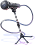 Costume Standing Mic