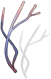 Sinew of Bear