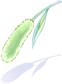 Costume Green Foxtail
