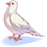 Costume Bell of Pigeon Lower