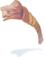 Decomposed Rope