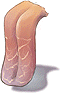 Tongue