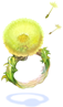 Dandelion Ring