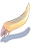 Zenorc's Fang