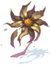 Withered Flower