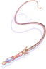 Queen's Whip
