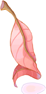 Red Herb