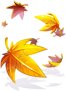 Costume Maple Which Falls