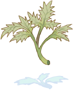 Herb of Incantation
