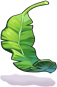 Giant Fireweed Leaf