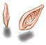 F Elven Ears C