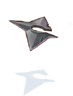 Broken Shuriken